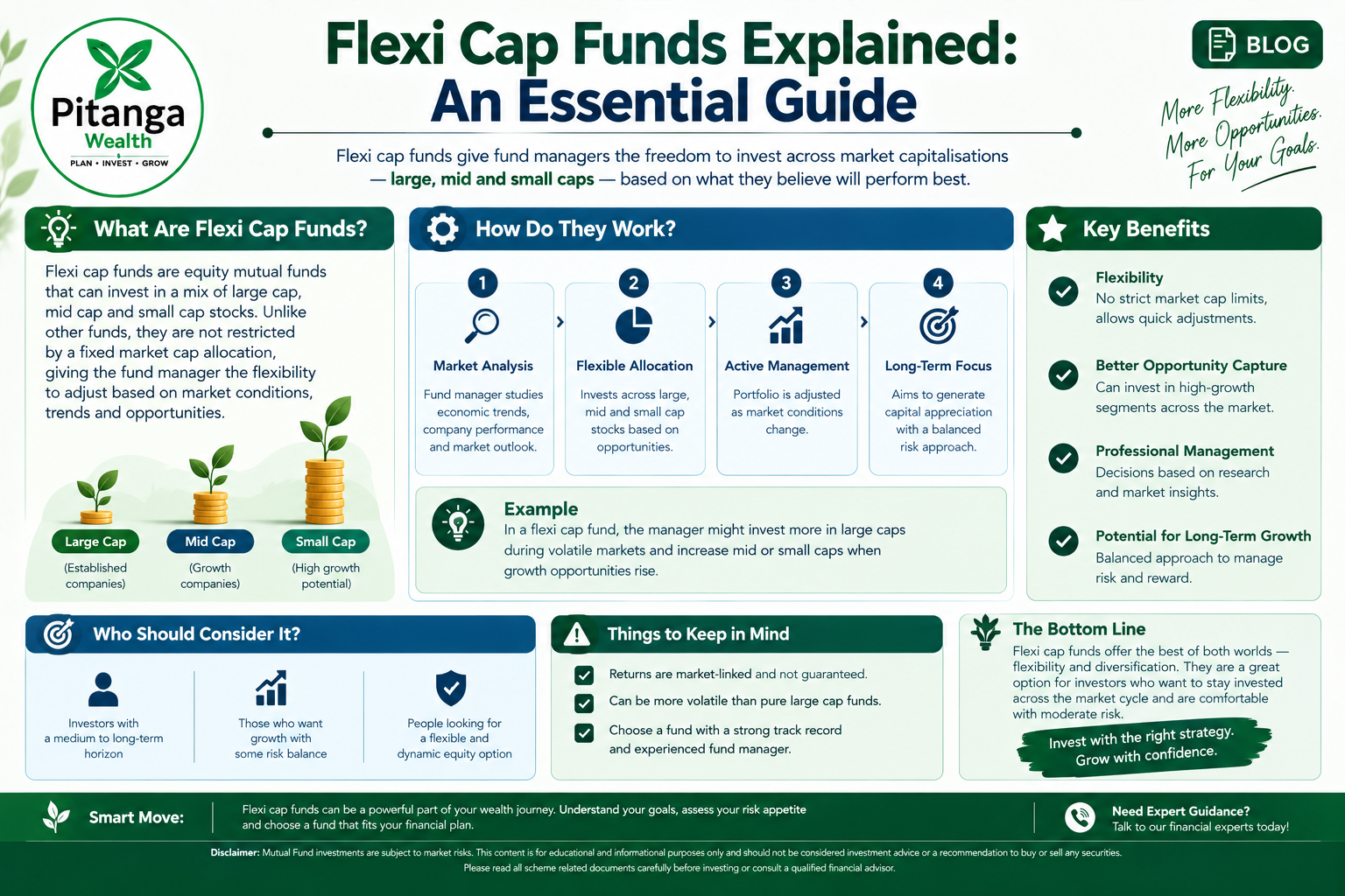 Flexi cap funds explained as equity funds investing across large, mid and small cap stocks